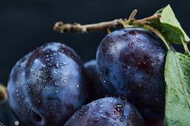 Plum Black